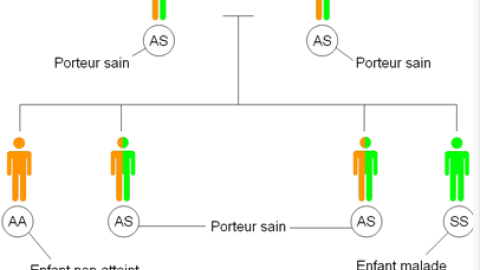 Schéma de transmission