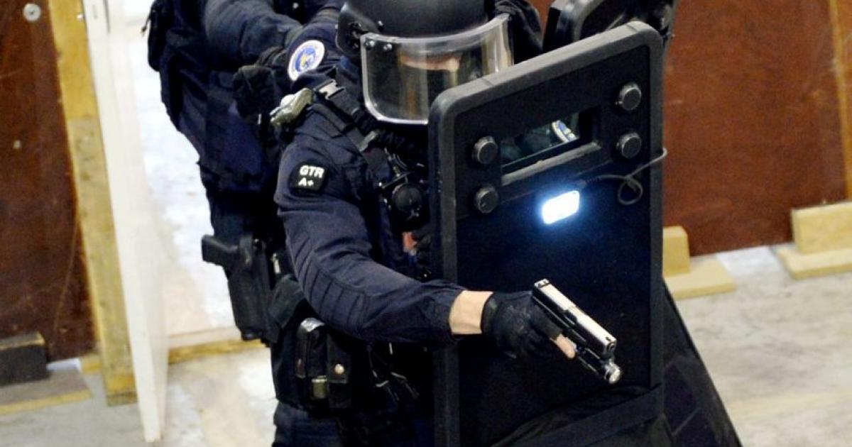 Un vaste trafic de véhicules volés démantelé