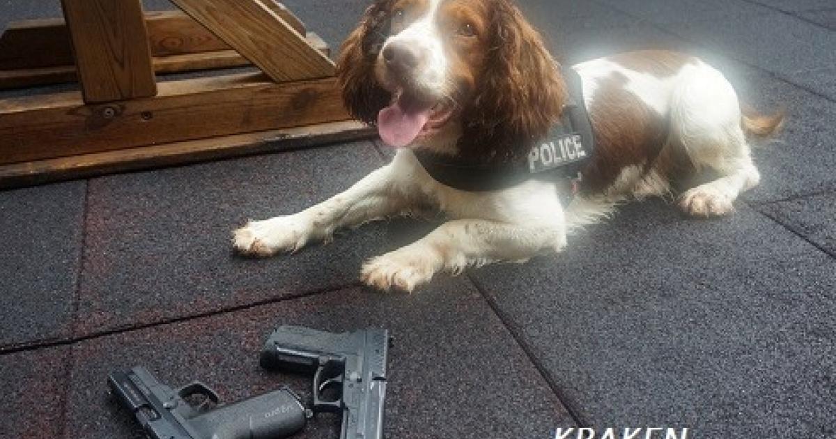 Le chien policier "Kraken" n'est plus