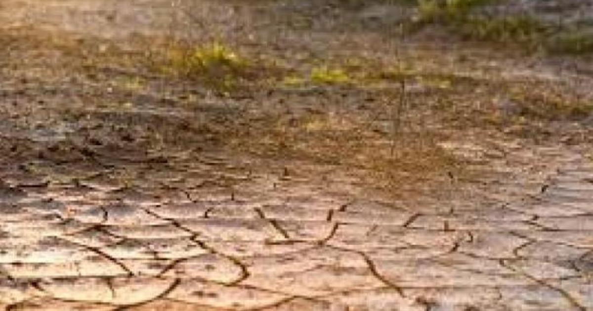     





Une indemnisation de 760 000 euros accordée aux exploitations agricoles affectées par la sécheresse de 2019




