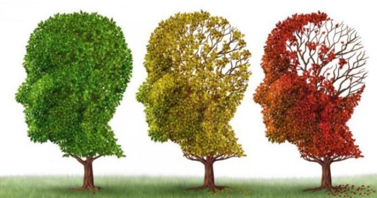     





[TÉMOIGNAGE] Journée mondiale de lutte contre la maladie d'Alzheimer




