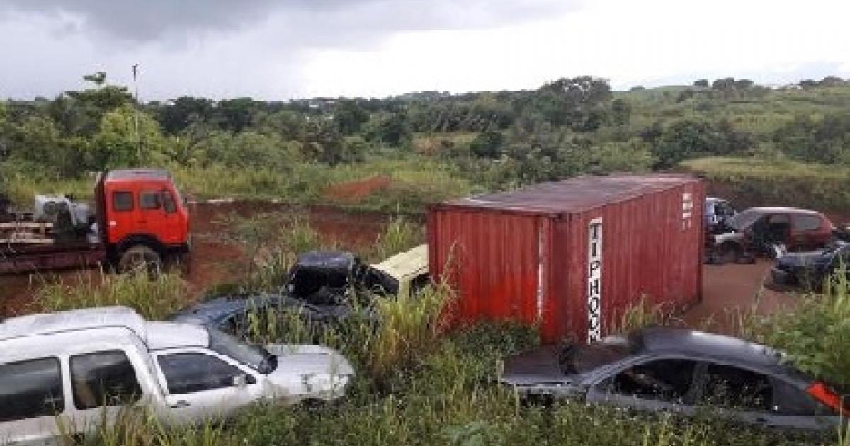 Une opération d'enlèvement de carcasses au Lamentin