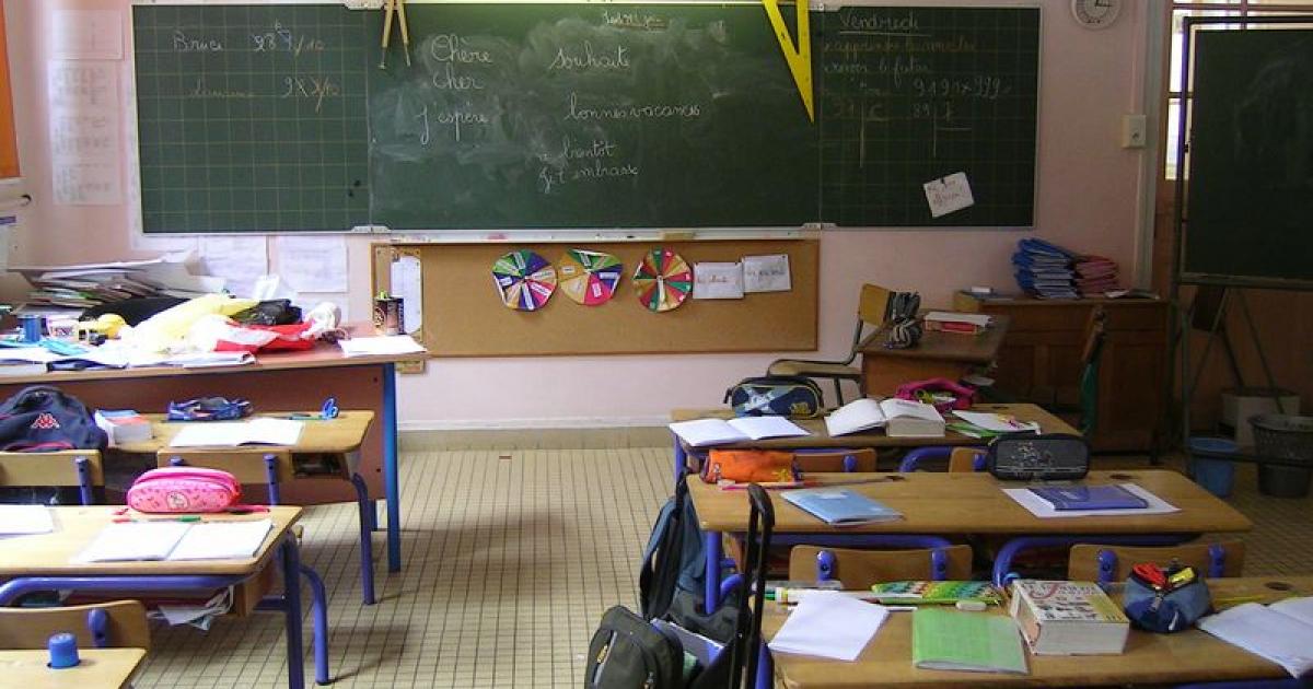 Au Sénat, le gouvernement justifie les suppressions de classes aux Antilles par la baisse démographique