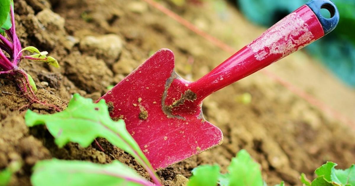 Après le confinement, le bricolage et le jardinage sont toujours en vogue