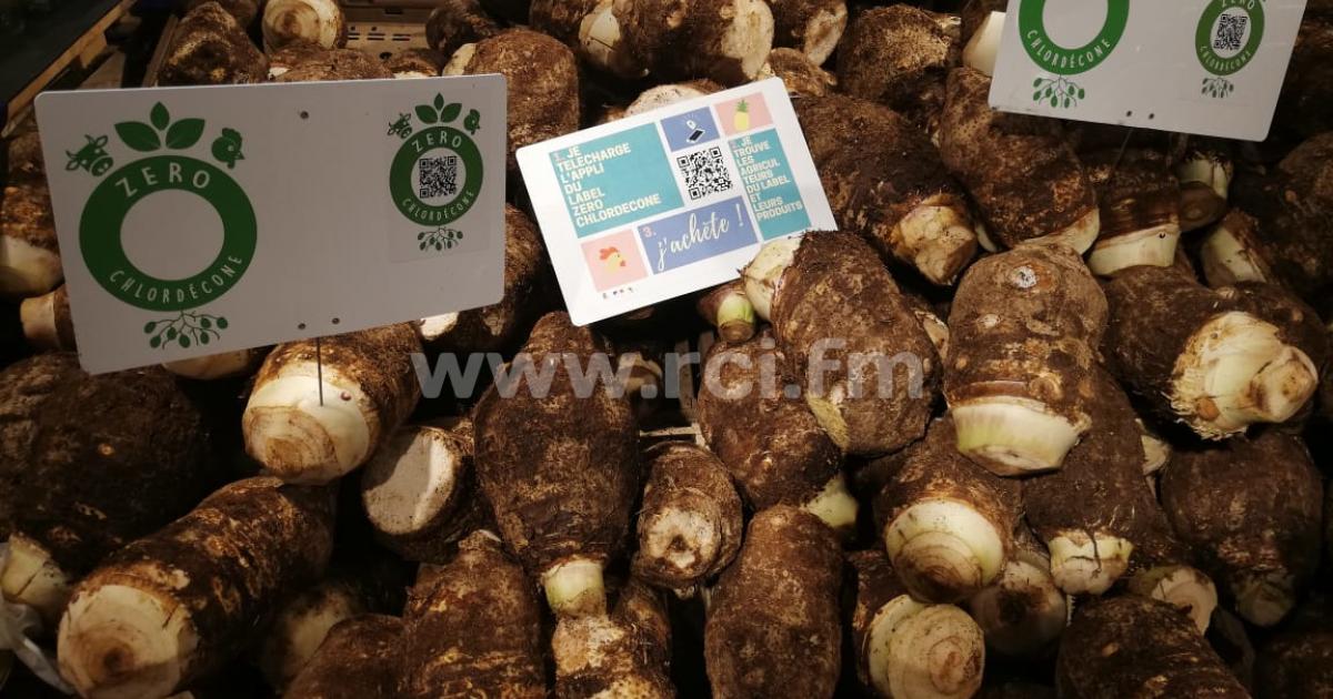 Une application mobile pour tout savoir sur les légumes labellisés zéro chlordécone