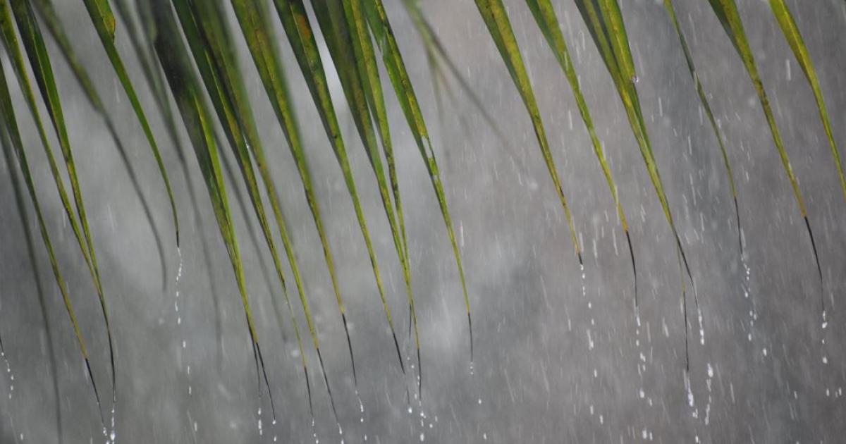     





Fortes pluies et orages : vigilance jaune maintenue en Martinique




