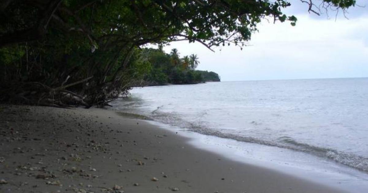 Baignade de nouveau autorisée à l'anse Caritan à Sainte-Anne