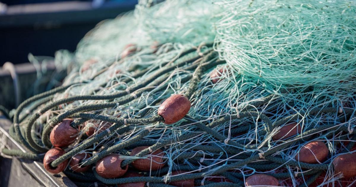 Blocages : de l'opportunisme pour le comité des pêches