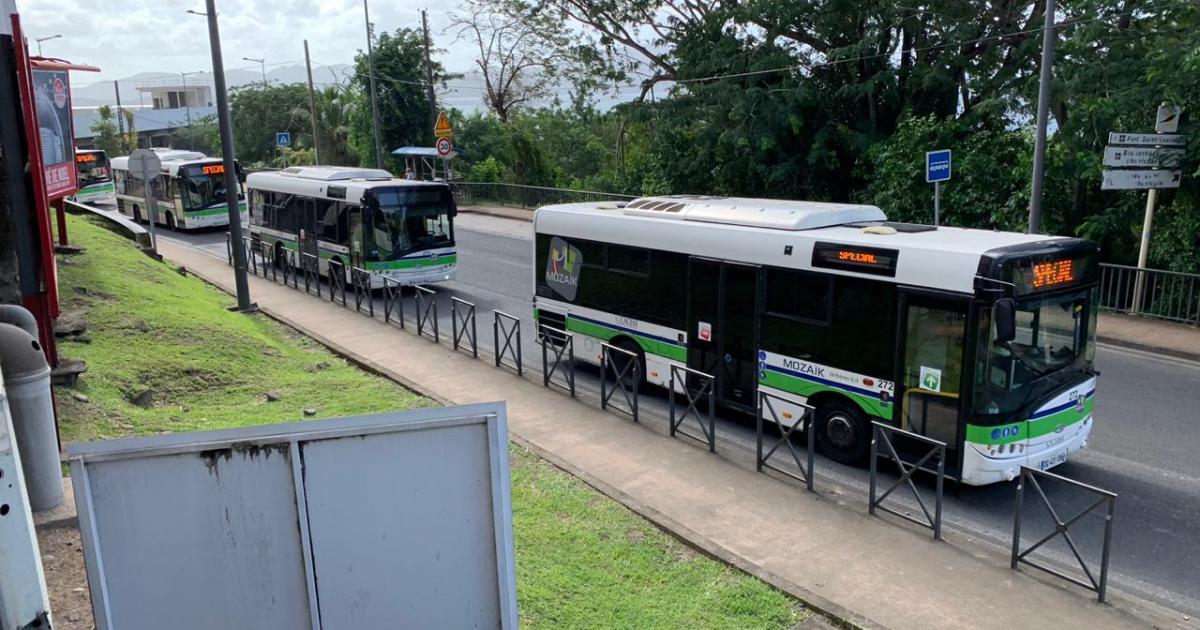 Double opération molokoy sur les routes de Martinique