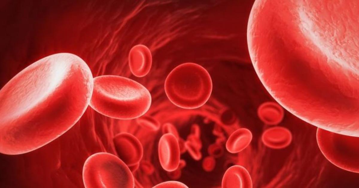 Drépanocytose : Drépaction fête ses 10 ans au Grand Carbet