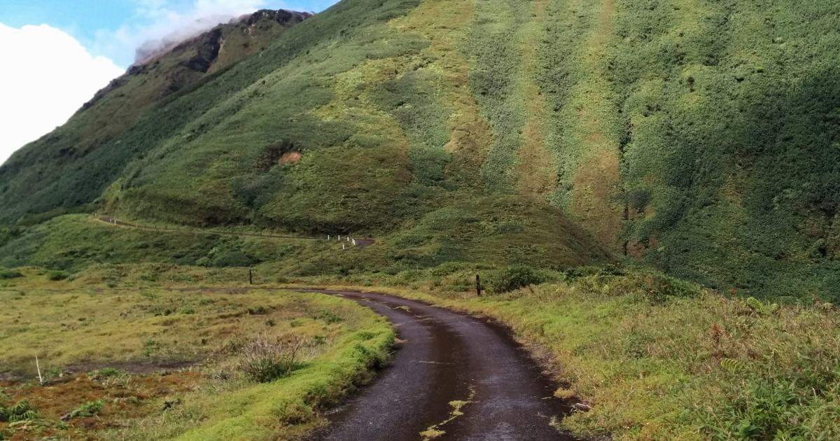 Découverte macabre au Morne-Rouge