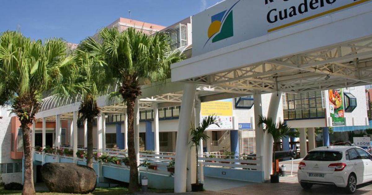 Coronavirus : réunion de crise à la Région Guadeloupe avec le gouvernement