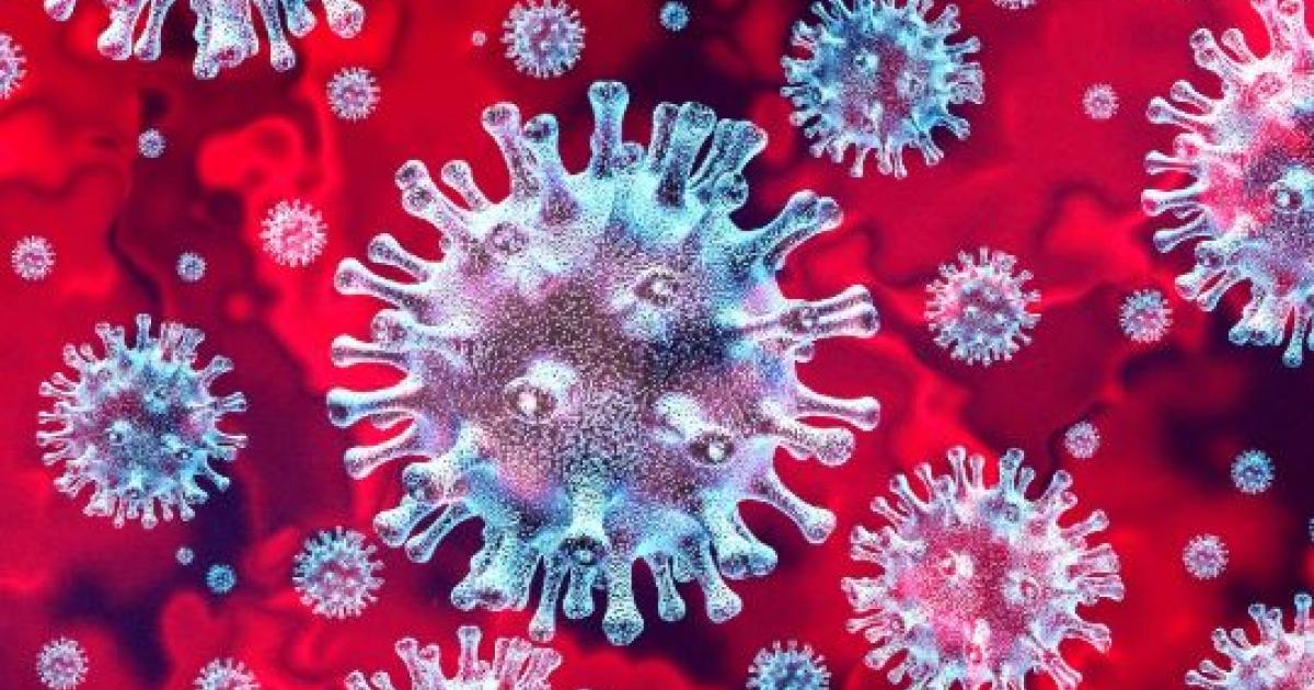     





Coronavirus : 80 cas en Martinique ce jeudi




