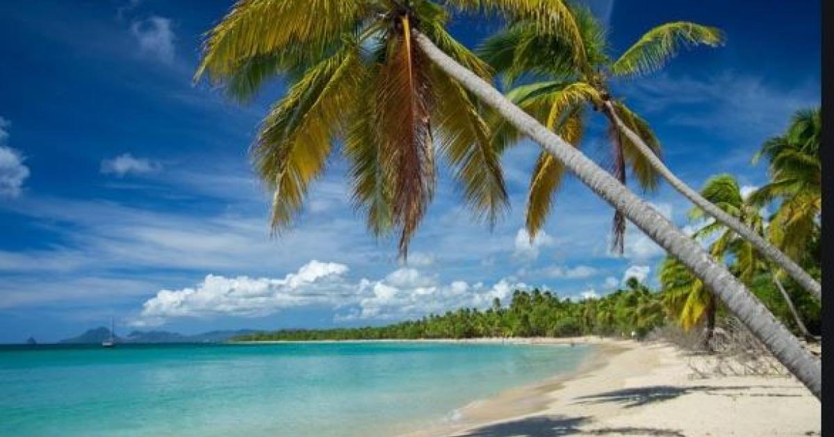     





Plusieurs plages de Sainte-Anne  interdites à la baignade 




