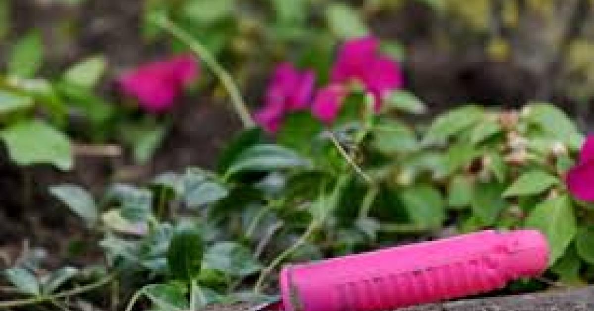 Toutes les astuces pour jardiner bio