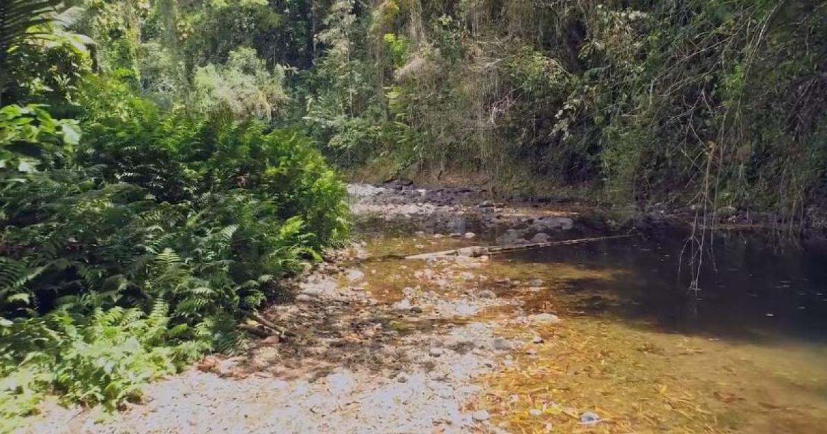 Sécheresse : la CTM porte plainte après plusieurs actes de vandalisme au Gros-Morne