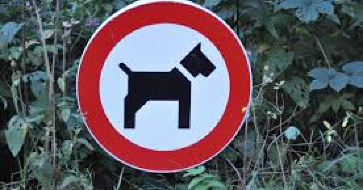 Un enfant de cinq ans blessé par un chien à Saint-François