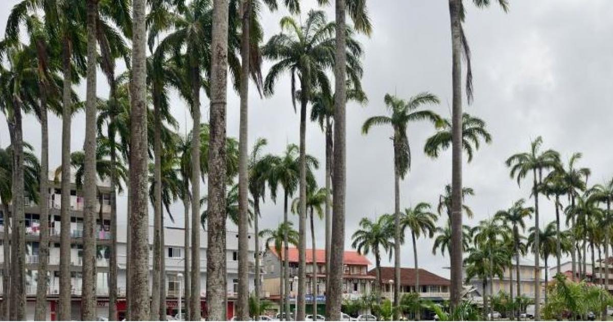     





Covid-19 en Guyane : hôpital de campagne, réservistes et reconfinement à l'étude




