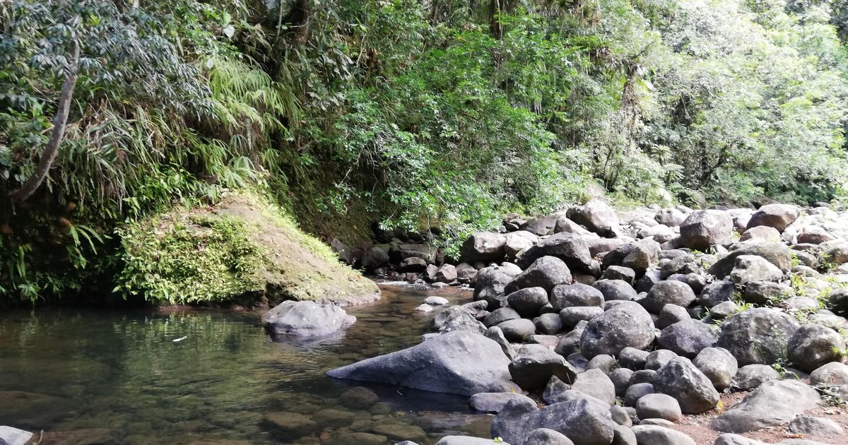 Baignade interdite sur les sites de Bassin Bleu et de la cascade Bras De Fort