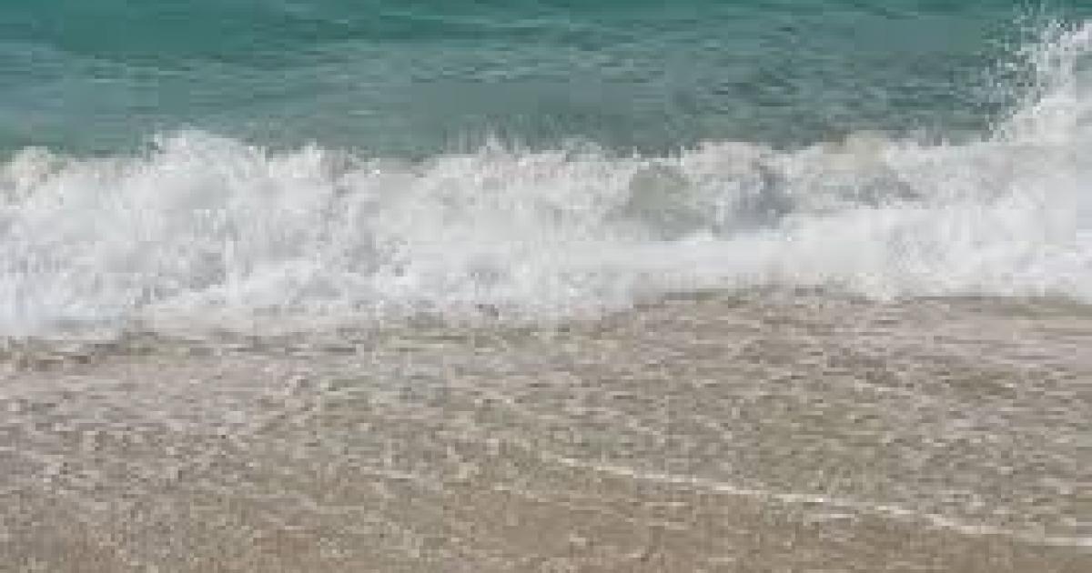 Alerte pollution sur la plage de Bas du Fort au Gosier