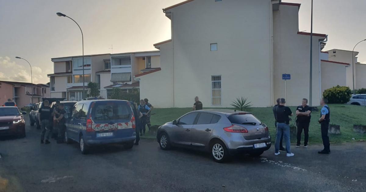 Importante opération des gendarmes à Ducos