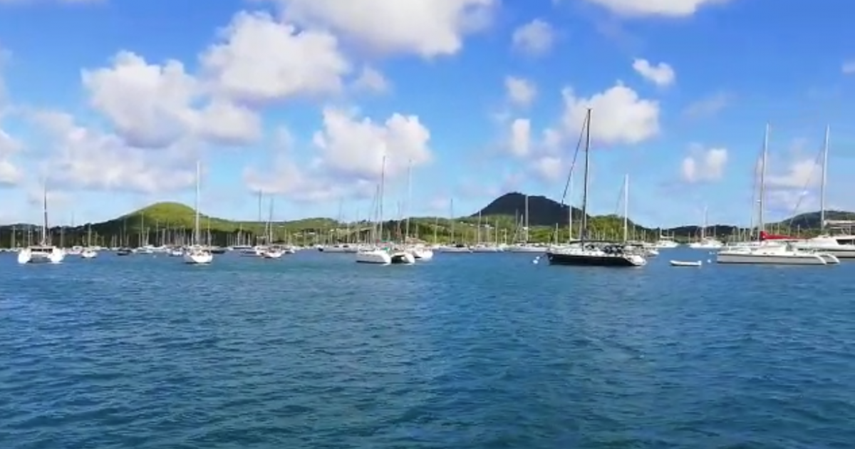 Baie du Marin : un site d'exception où hommes et écosystème cohabitent