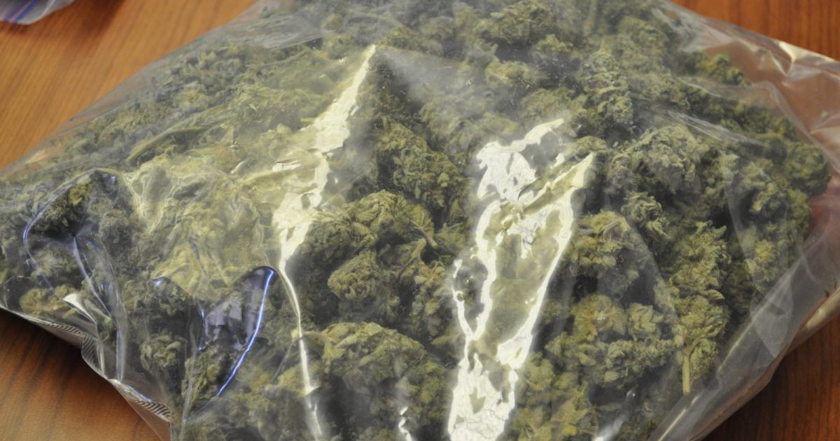 Trafic de cannabis : le pilote du bateau incarcéré, les cinq passagers condamnés mais laissés libres