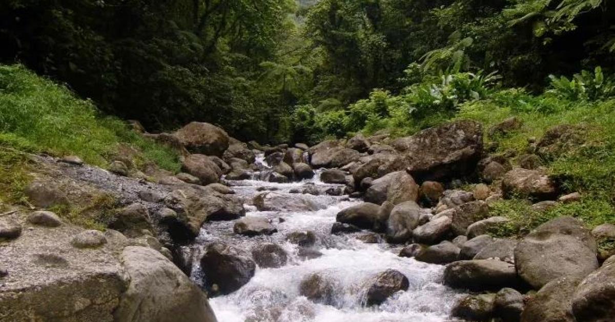     





L'eau de la rivière Alma à Fort-de-France impropre à la baignade et à la consommation





