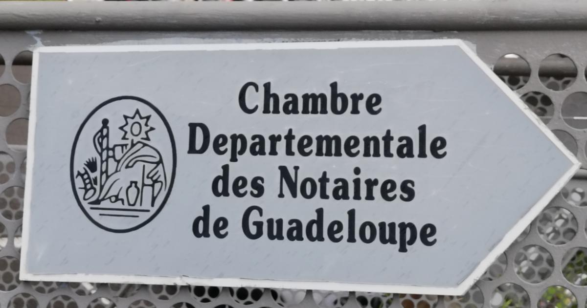 Notaires : LCDM dénonce des dysfonctionnements