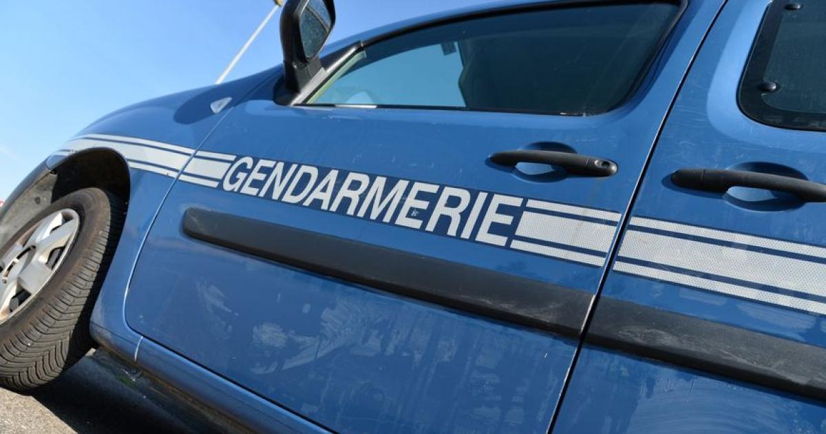 Deux hommes interpellés après l'agression à l'arme blanche du Vauclin