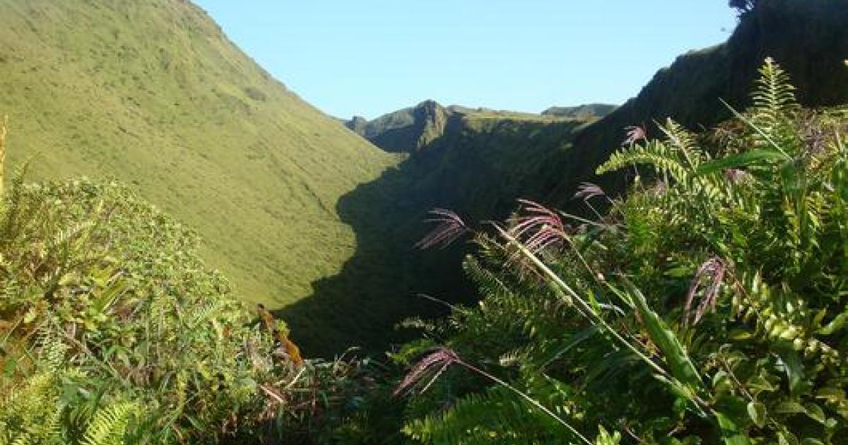     





Activité sismique en baisse cette semaine sous la Montagne Pelée




