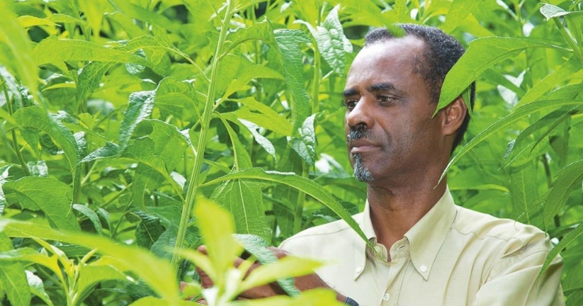 Le Laboratoire Phytobôkaz victime d’une arnaque