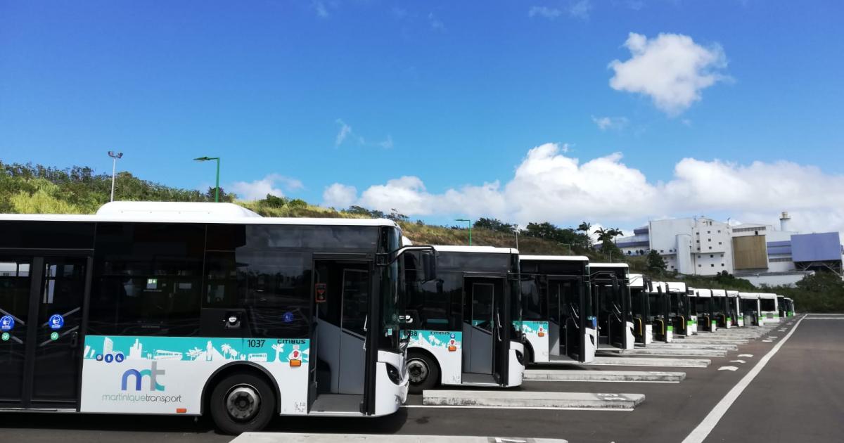 13 lignes de bus toujours à l’arrêt à Fort-de-France et au Lamentin