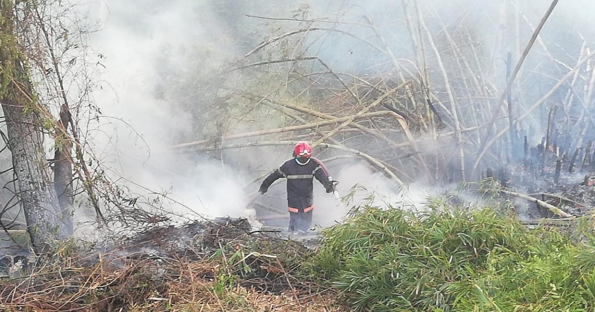 Un radar incendié au Lamentin et un feu de bambous au François