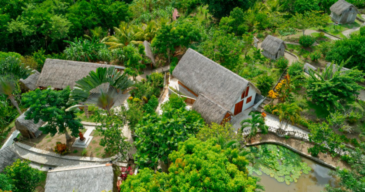 La Savane des esclaves organise de nouveaux évènements tous les week-ends