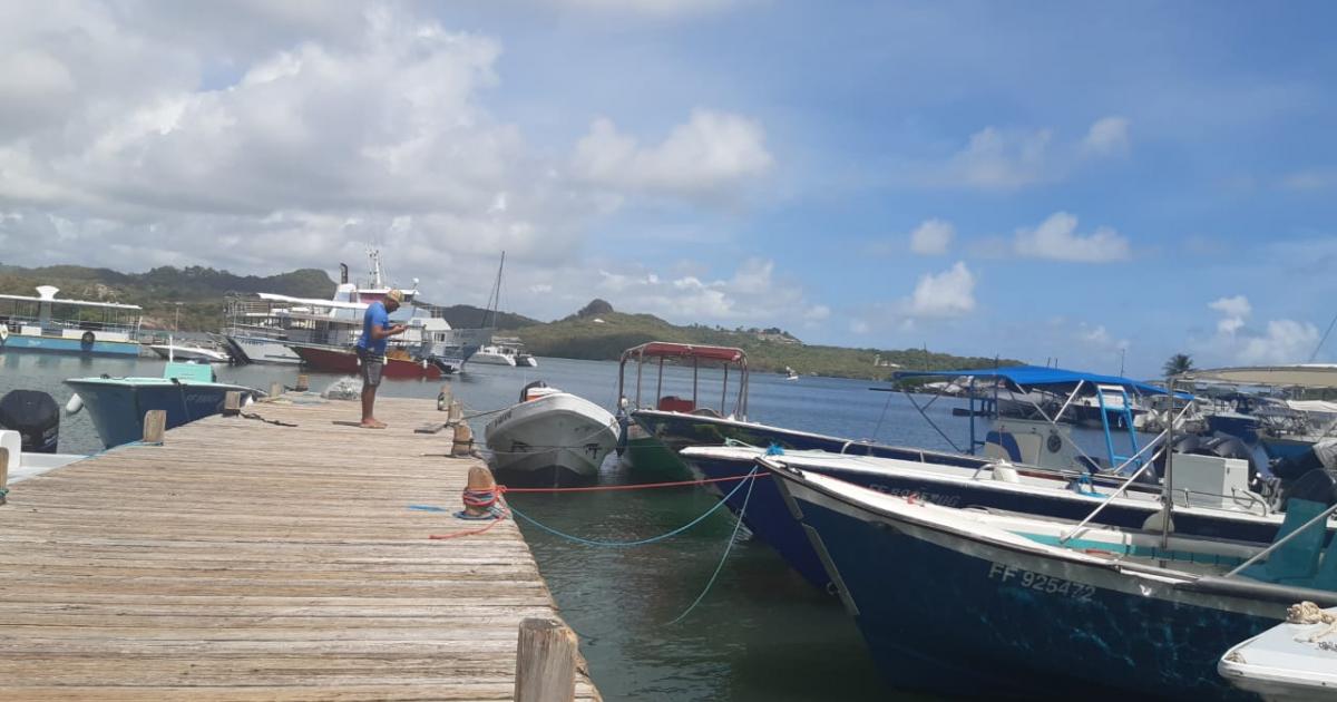 Le Comité des pêches entendu par la CTM