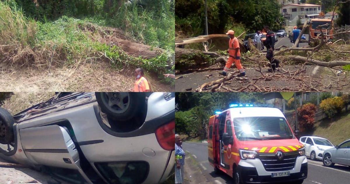 Un arbre tombe sur une voiture sur la route de Morne Pitaut
