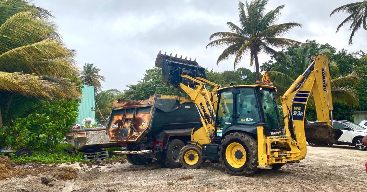 Sargasses : la Guadeloupe progresse, mais doit encore mieux faire