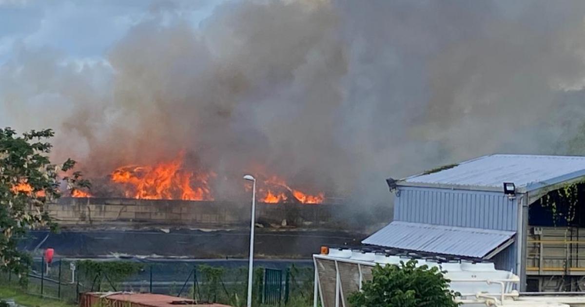     





[VIDEO] Incendie important à la déchetterie de la Trompeuse à Fort-de-France




