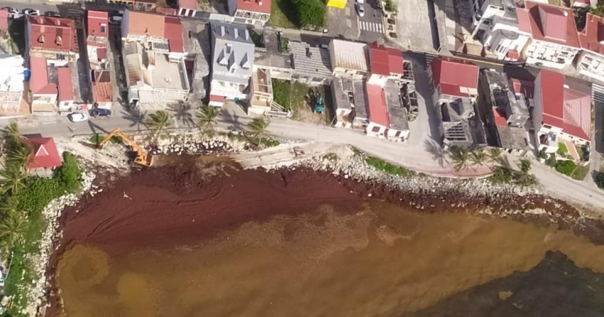 Sargasses : nos îles de nouveau impactées