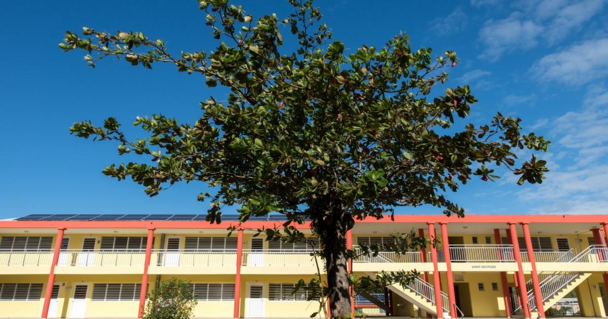 Agression à l'arme blanche au foyer de l'Espérance : le jeune mineur présenté devant le parquet