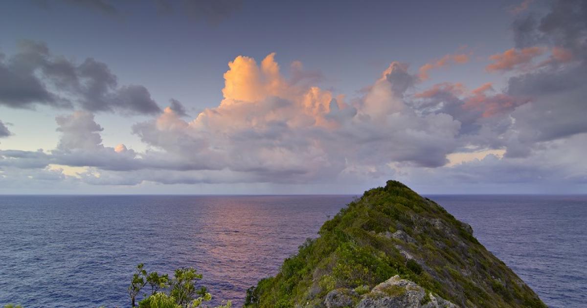 Ils conduisent par vengeance un adolescent au bord de la falaise