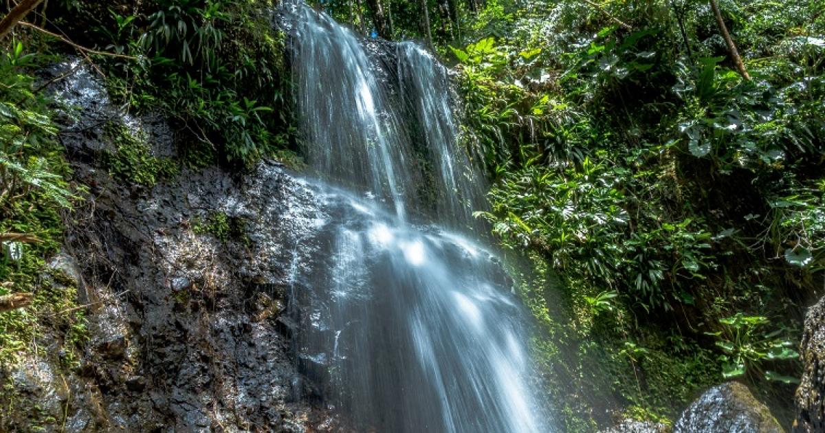 Sortie naturelle et paisible au saut des trois cornes