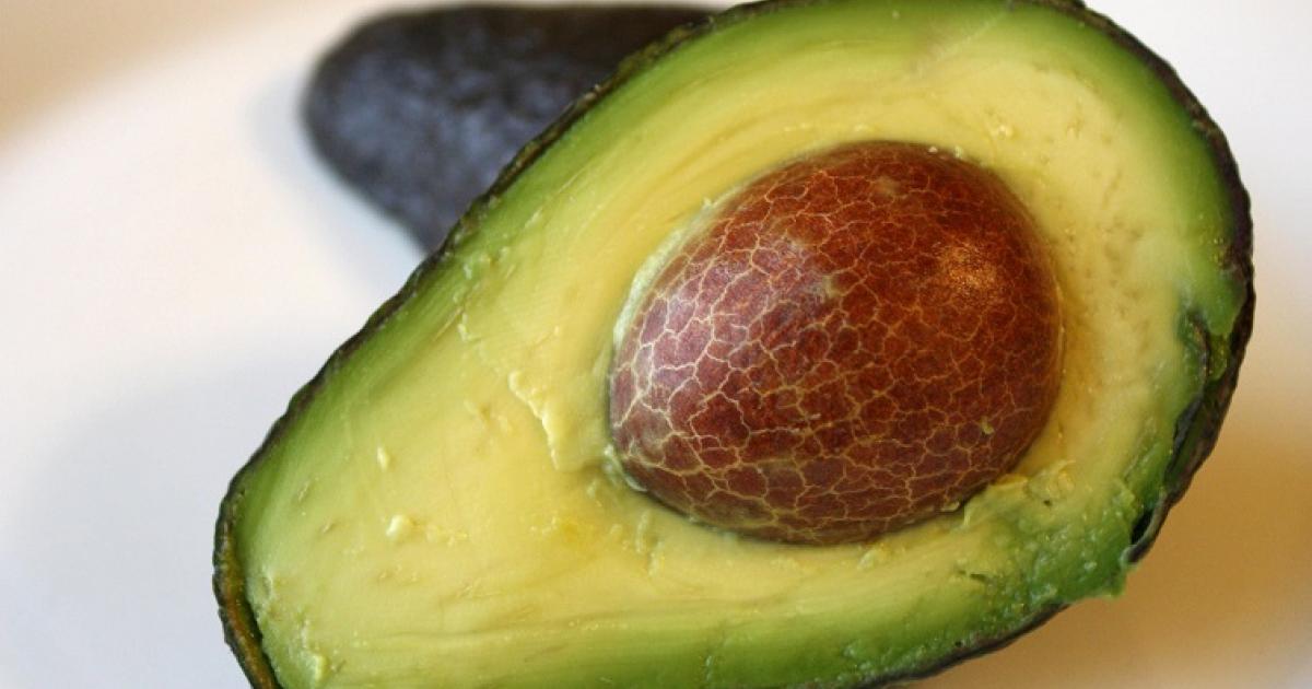 Féroce d'avocat, facile à faire et à déguster