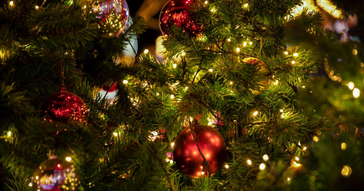 Cinq jeunes martiniquais malades partent voir le Père Noël en Laponie