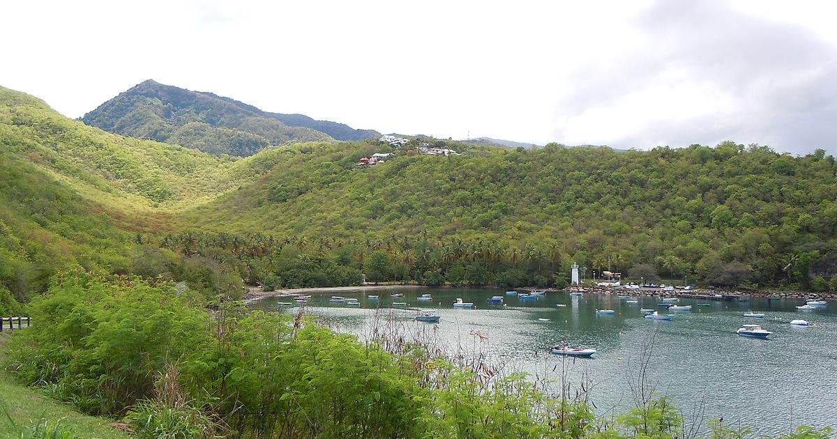     





La traque de l'Anse à la Barque




