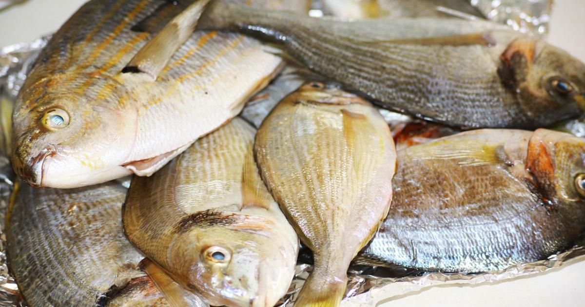 La tradition à l'honneur avec la daube de poisson
