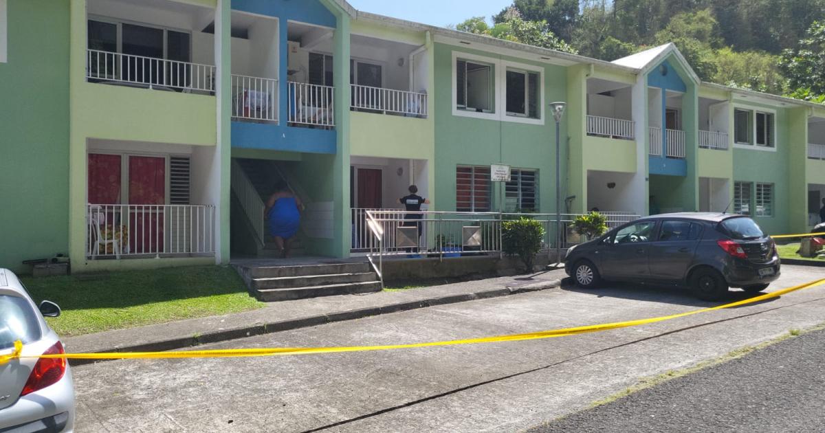S.O.S. Kriz constate une montée de l'angoisse face à la recrudescence des crimes