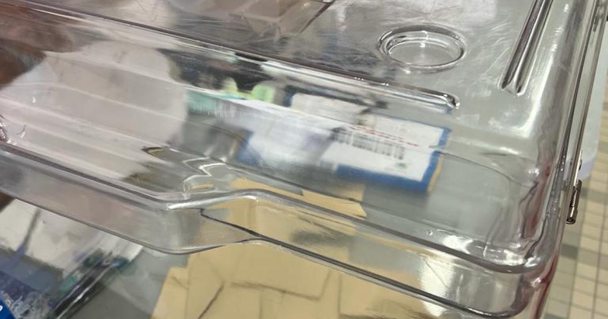     





[PHOTOS] Législatives 2022 : léger sursaut dans les bureaux de vote de Guadeloupe pour ce début de second tour




