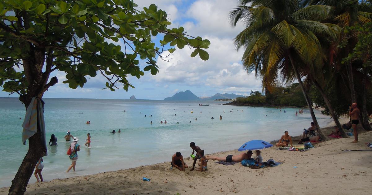 Une femme prise en charge par les secours après avoir été piquée par des méduses à l'Anse Figuier